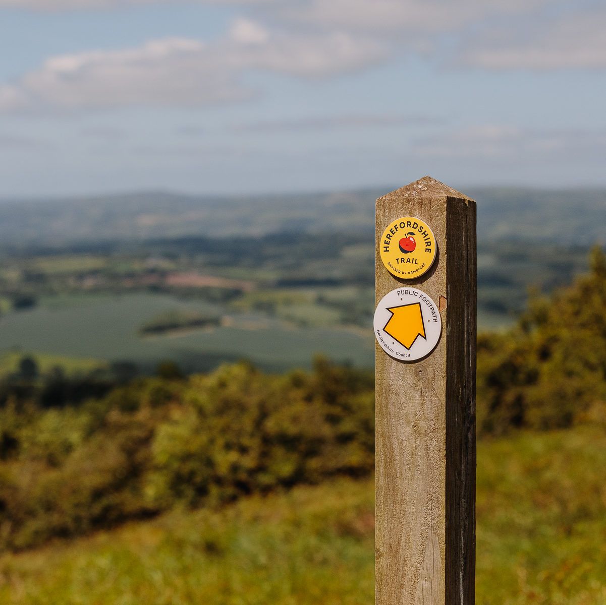 Herefordshire Trail waymarker in countryside